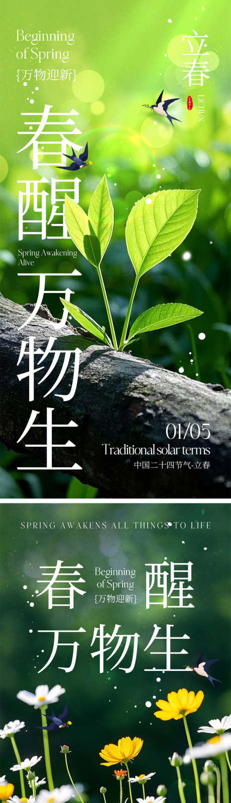立春节气海报_源文件下载_PSD格式_1000X4340像素-燕子,小鸟,花朵-作品编号:2024122510462576-志设-zs9.com