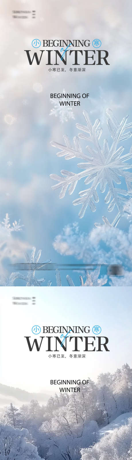 小寒大寒小雪大雪_源文件下载_23格式_1080X4676像素-大雪,小雪,大寒-作品编号:2024122709579711-志设-zs9.com