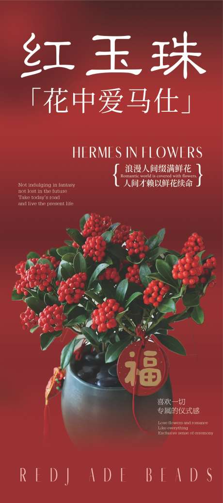 鲜花店展架_源文件下载_PSD格式_1405X3160像素-展架,红玉珠,鲜花-作品编号:2024123008467269-志设-zs9.com