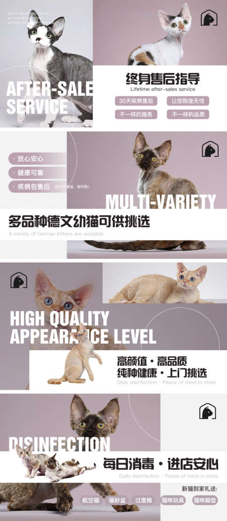 宠物猫轮播图_源文件下载_PSD格式_1000X2295像素-大众点评,轮播图,淡紫色-作品编号:2025010315263237-志设-zs9.com