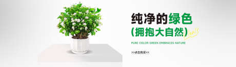 绿植茉莉花banner_源文件下载_PSD格式_1920X550像素-花卉,banner,盆栽-作品编号:2025010317058346-志设-zs9.com