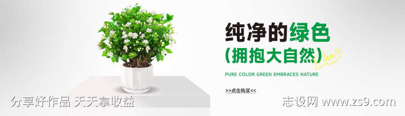 绿植茉莉花banner