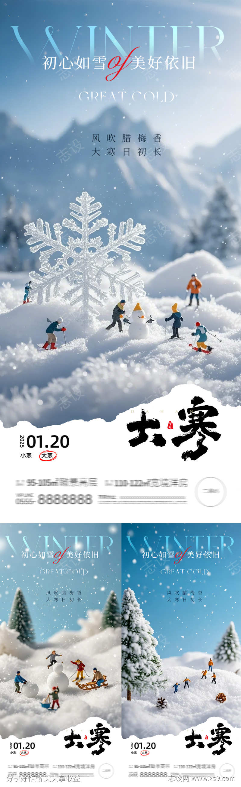 大寒微观摄影意境海报