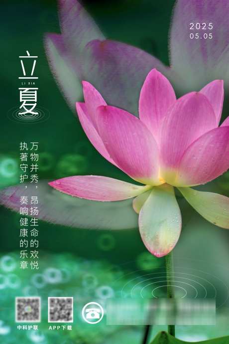 青绿一夏立夏已至节气海报_源文件下载_PSD格式_1181X1772像素-海报,倒影,荷花-作品编号:2025010910122033-志设-zs9.com