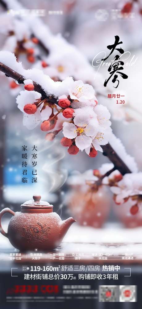 二十四节气大寒_源文件下载_23,30格式_1242X2688像素-梅花,大寒,节气-作品编号:2025010915383317-志设-zs9.com
