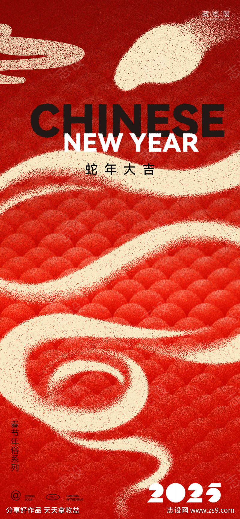 蛇年龙鳞插画海报