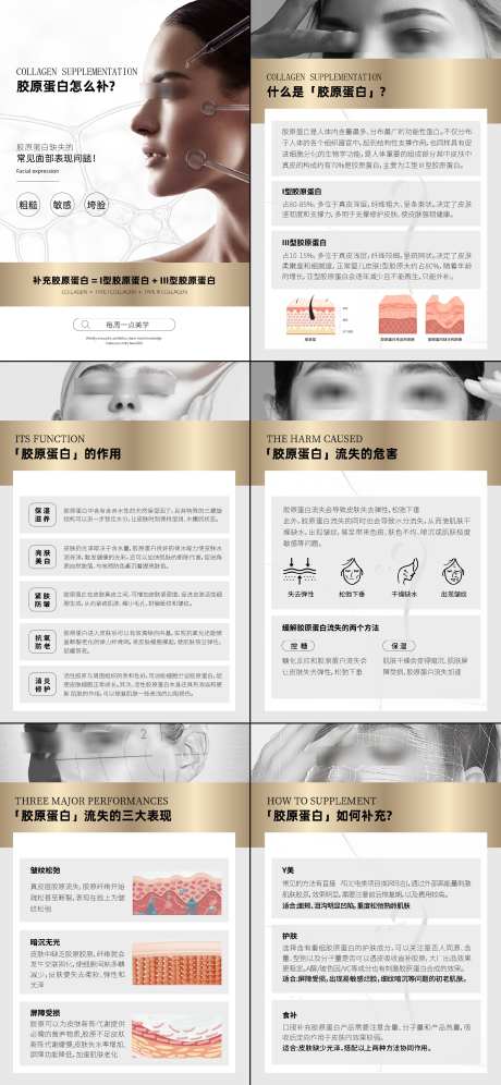 胶原蛋白知识科普系列海报_源文件下载_AI格式_2147X4649像素-模特,简约,抗衰-作品编号:2025011409177348-志设-zs9.com