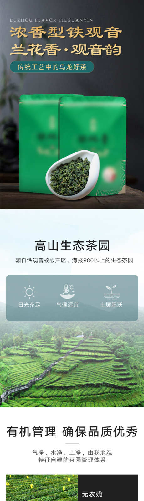 铁观音茶叶详情页_源文件下载_PSD格式_790X11120像素-清新,绿茶,淘宝-作品编号:2025011610531281-志设-zs9.com