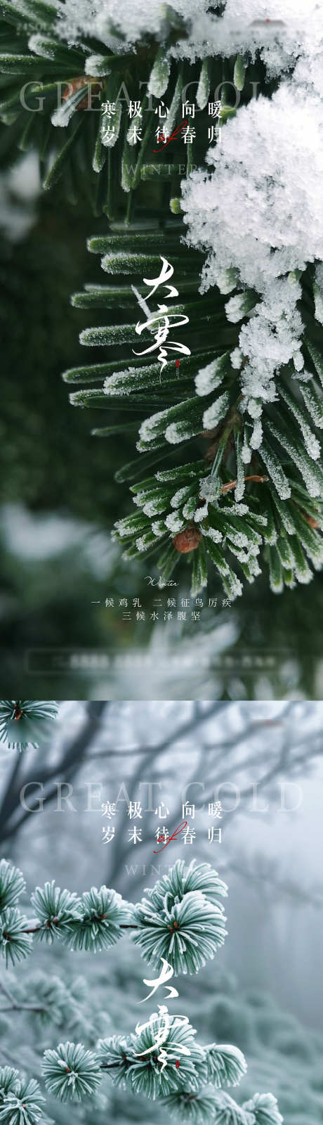 大寒节气海报_源文件下载_AI格式_1500X6498像素-森林,松树,雪景-作品编号:2025011614263898-志设-zs9.com