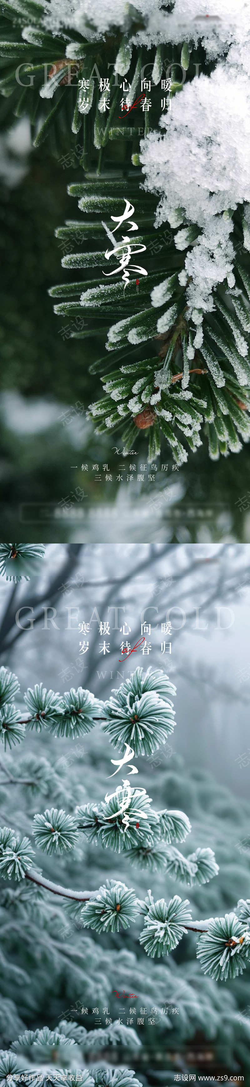 大寒节气海报