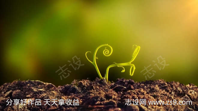 种子发芽生长视频
