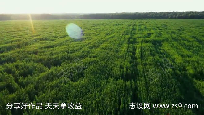 自动化农田农业种植收割机视频