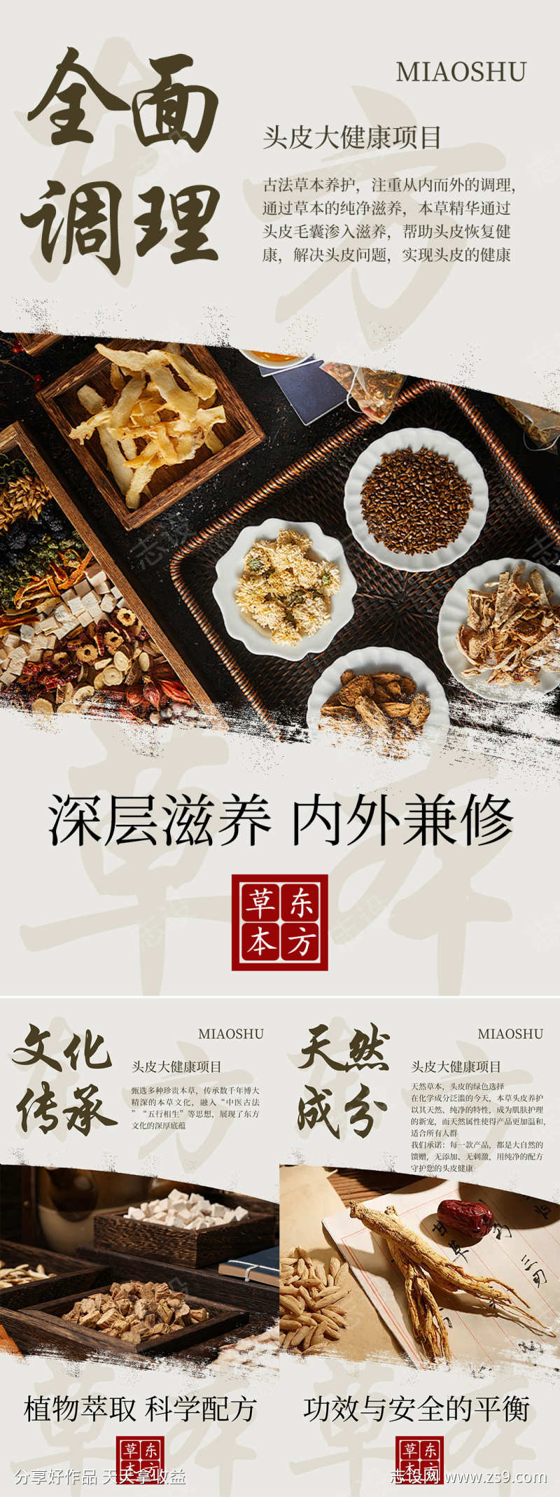 中医中药科普