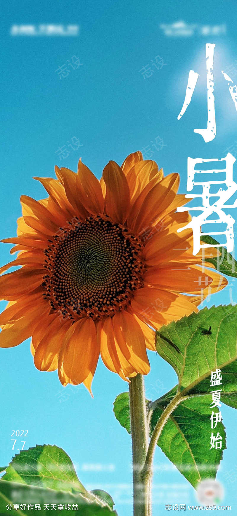 小暑节气海报