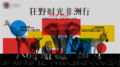 商业活动动物非洲行主题活动主视觉_源文件下载_AI格式_1922X1082像素-斑马,非洲,商业-作品编号:2025012108467429-志设-zs9.com