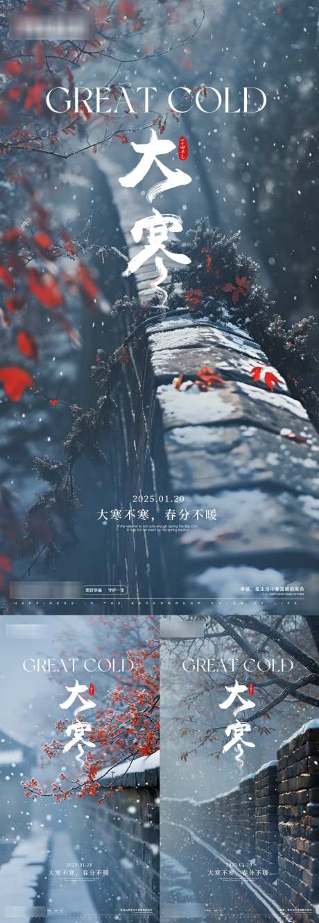 大寒海报套图_源文件下载_PSD格式_1080X3121像素-飘雪,雪天,冬天-作品编号:2025012111254517-志设-zs9.com