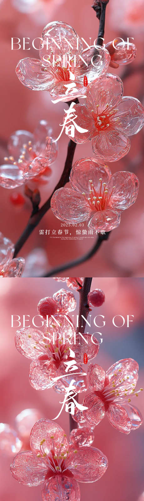 立春春天节气_源文件下载_PSD格式_1080X4160像素-高端,春天,花朵-作品编号:2025012116462191-志设-zs9.com