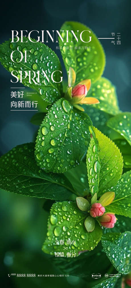 立春雨水惊蛰春分_源文件下载_PSD格式_2000X4400像素-高端,节日,春分-作品编号:2025012116335175-志设-zs9.com