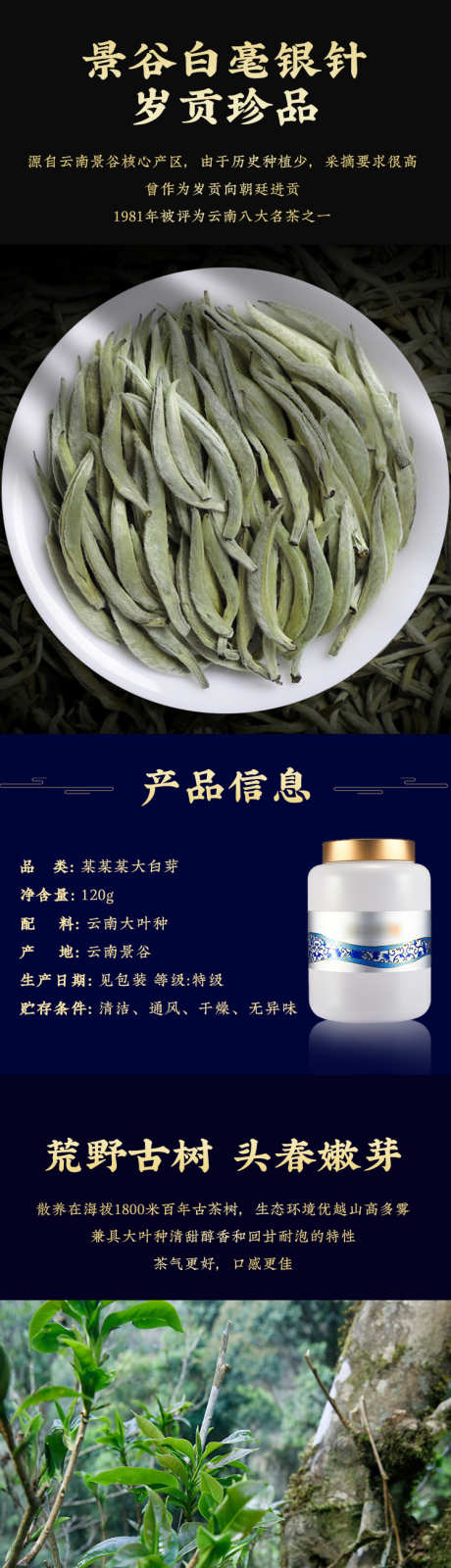 白茶详情页设计_源文件下载_PSD格式_750X11088像素-促销,详情页,芽头-作品编号:2025012208519472-志设-zs9.com