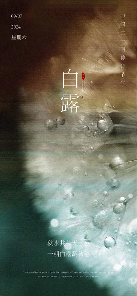 白露节气海报_源文件下载_PSD,AI格式_2250X4871像素-节气,高端,海报-作品编号:2025012513281061-志‘设‘网