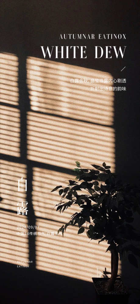 白露节气海报_源文件下载_PSD格式_2250X4871像素-简约,高端,节气-作品编号:2025012415151536-志设-zs9.com