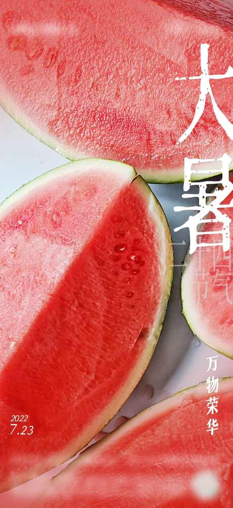 大暑节日海报_源文件下载_AI,PSD格式_1562X3396像素-节气,调性,新中式-作品编号:2025012610041127-志设-zs9.com