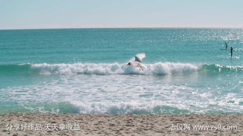 大海海景沙滩自然海水海滩