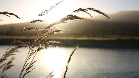 落日自然美景黄昏风景日落_视频素材下载_MP4格式_1920X1080像素-实拍,视频,自然-作品编号:2025020709192958-志设-zs9.com