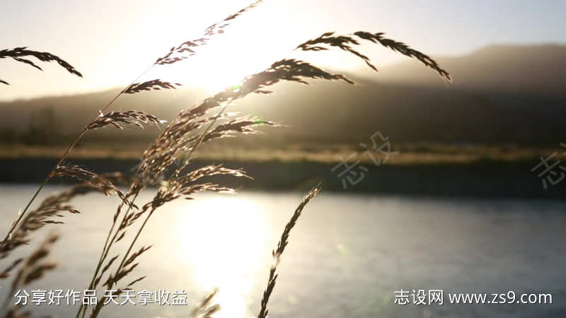 落日自然美景黄昏风景日落