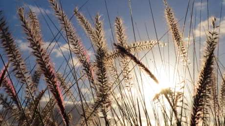 黄昏落日美景日落自然风景_视频素材下载_MP4格式_3840X2160像素-实拍,视频,自然-作品编号:2025020708522096-志设-zs9.com