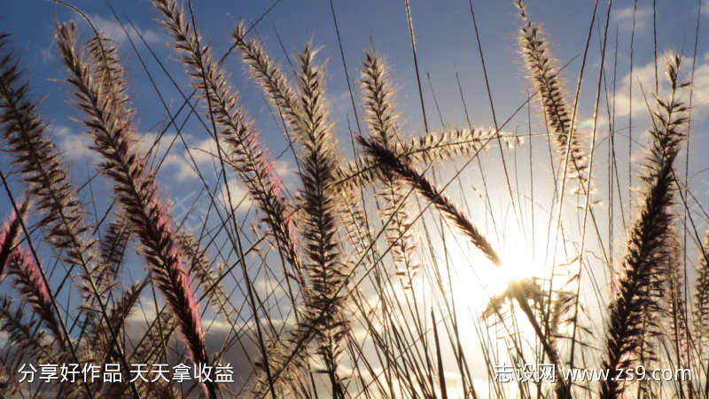 黄昏落日美景日落自然风景