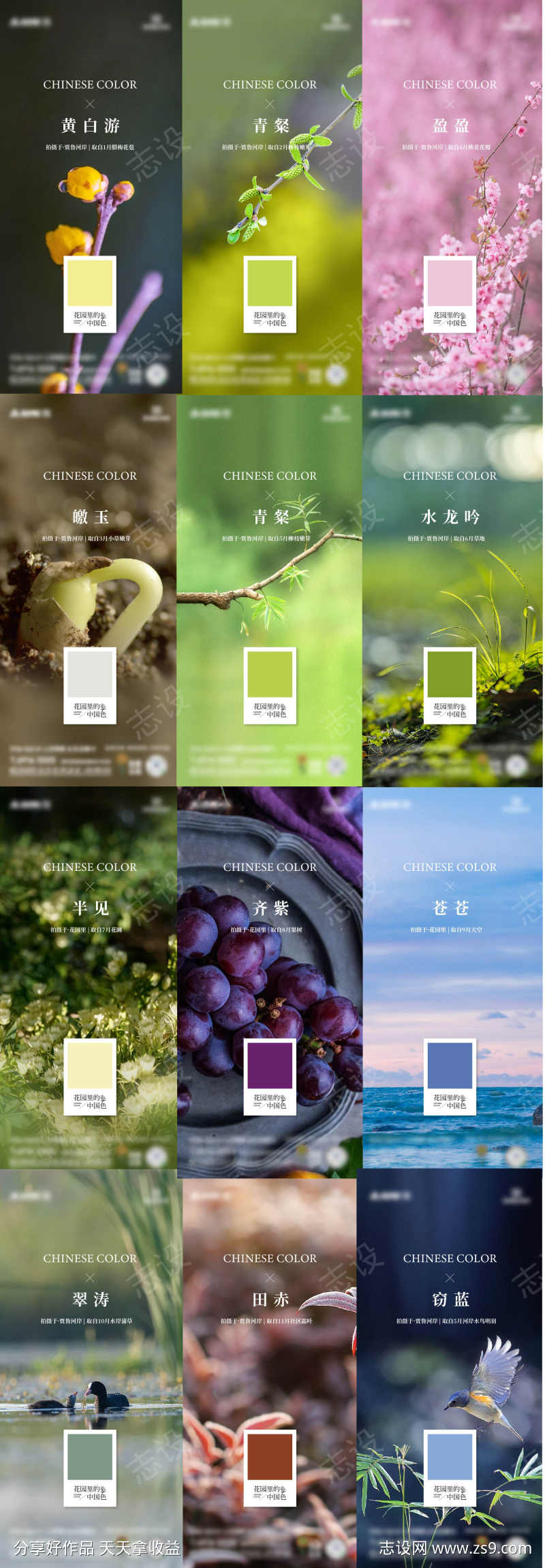 中国12色春天海报