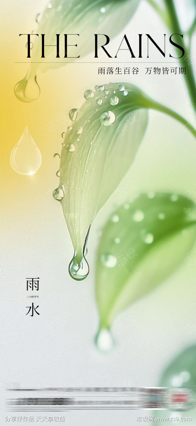 雨水节气海报