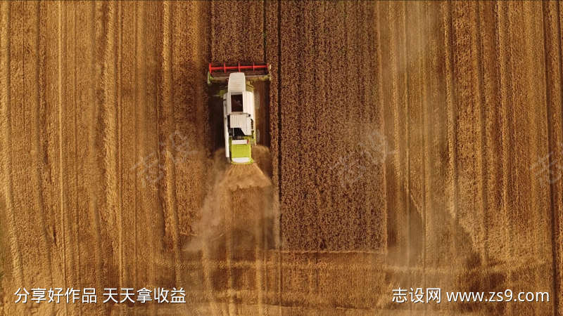 拖拉机收割小麦