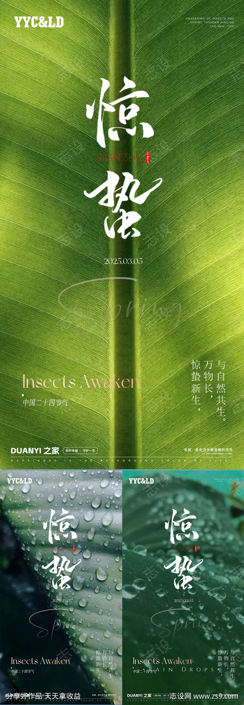 惊蛰海报系列