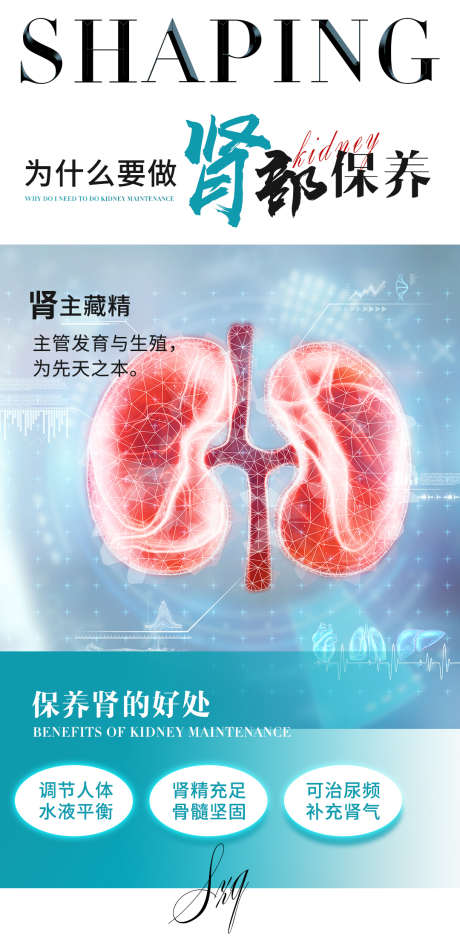 肾部保养海报_源文件下载_PSD格式_1080X2230像素-美容院,腰肾,养生-作品编号:2025021209376209-志设-zs9.com