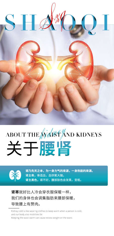腰肾小知识_源文件下载_PSD格式_1080X2230像素-美容院,腰肾,健康-作品编号:2025021209319161-志设-zs9.com