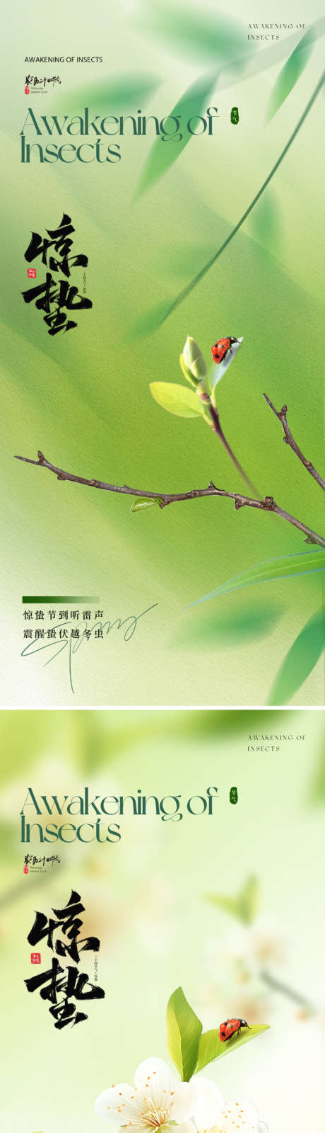 地产美业惊蛰节气海报_源文件下载_PSD格式_800X3476像素-艺术,书法字,竹子-作品编号:2025021209314665-志设-zs9.com