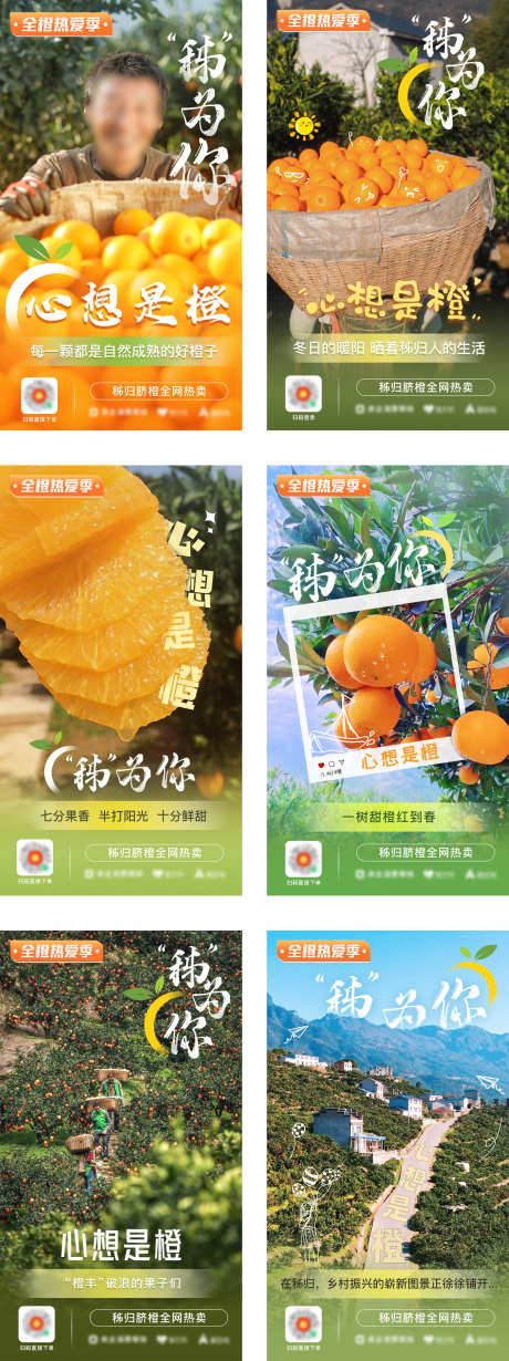 脐橙特卖海报_源文件下载_PSD格式_2270X6070像素-特卖,专场,乡村-作品编号:2025021311429644-志设-zs9.com