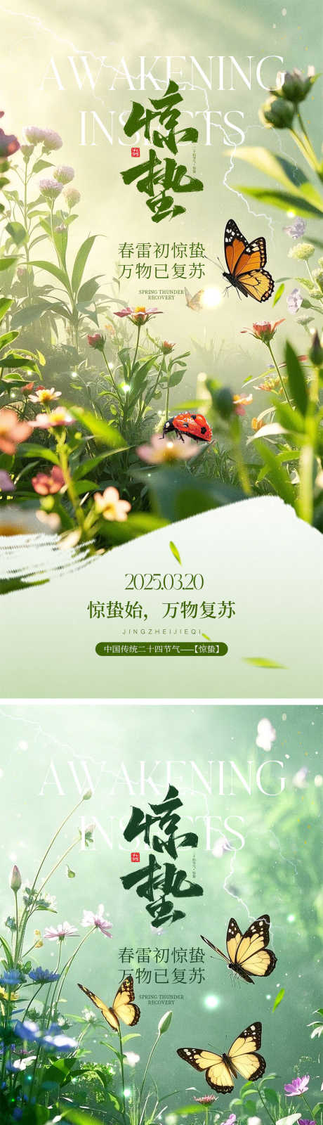 二十四节气惊蛰节气海报_源文件下载_PSD格式_1000X4340像素-万物生长,下雨,花朵-作品编号:2025021315061599-志设-zs9.com