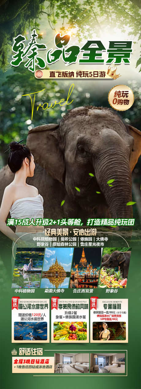 版纳旅游海报_源文件下载_PSD格式_1000X2748像素-云南,旅游,版纳-作品编号:2025021508534772-志设-zs9.com