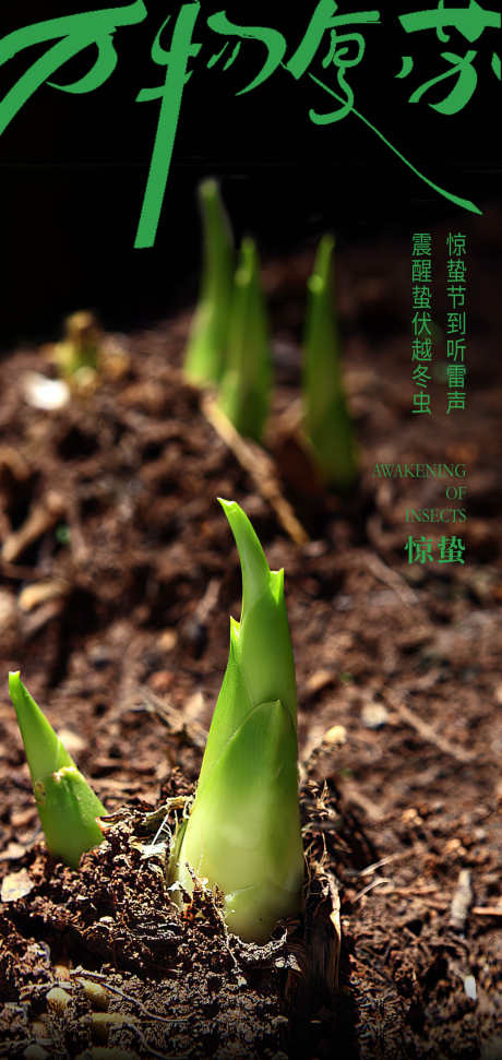 传统24节气惊蛰创意海报_源文件下载_PSD格式_2126X4488像素-24节气,惊蛰,创意-作品编号:2025021411324397-志设-zs9.com