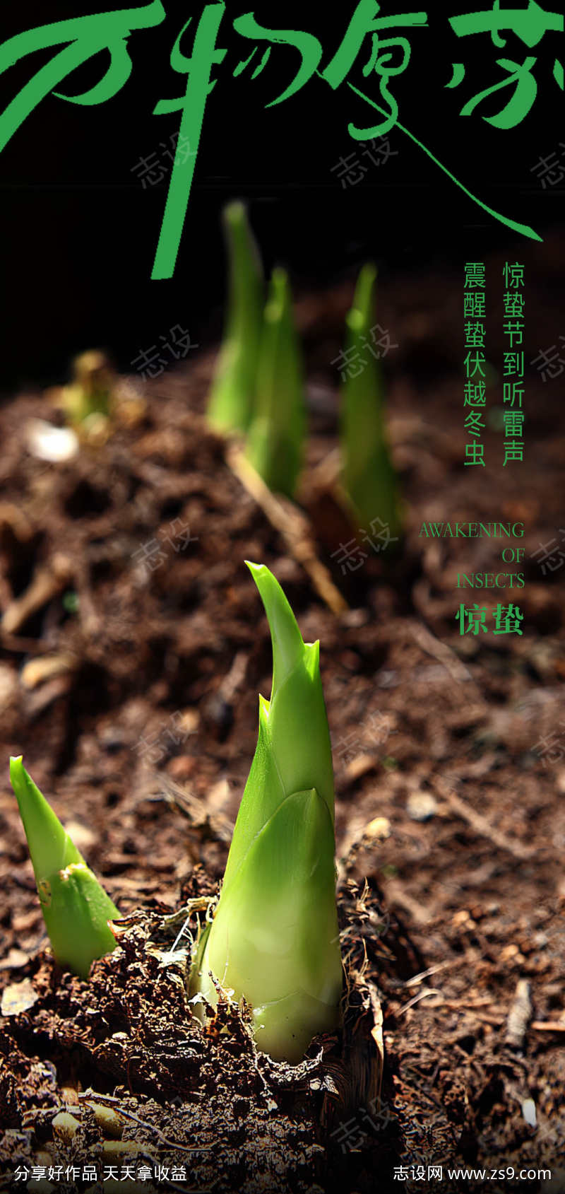 传统24节气惊蛰创意海报