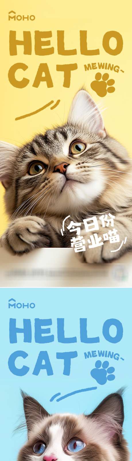 今日营业猫_源文件下载_PSD格式_1080X4684像素-猫粮,宠物节,宠物狗-作品编号:2025021613093670-志设-zs9.com