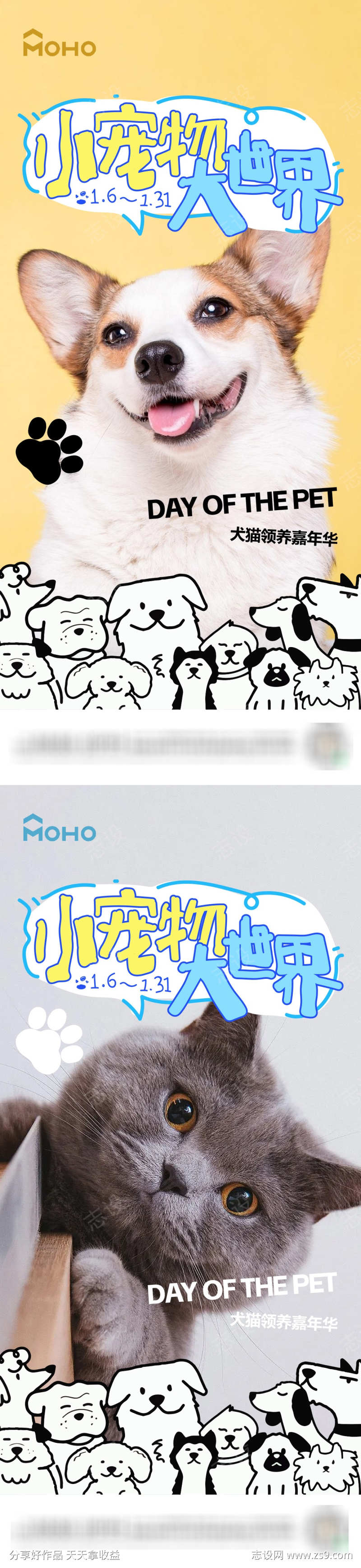 猫猫狗狗宠物节