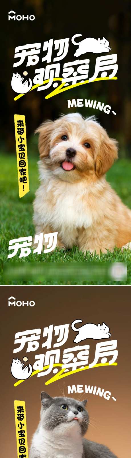猫狗宠物节_源文件下载_PSD格式_1080X4684像素-狗粮,猫粮,宠物节-作品编号:2025021616351966-志设-zs9.com