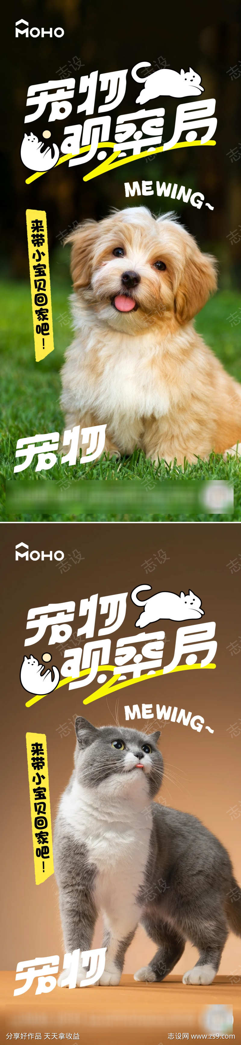 猫狗宠物节
