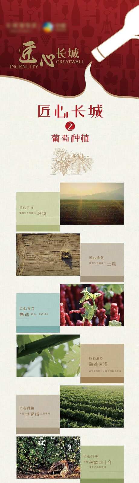 红酒企业匠心制造长图_源文件下载_AI格式_720X13038像素-长图,企业,匠心-作品编号:2025021716516706-志设-zs9.com