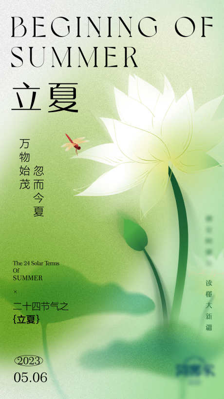 绿色质感立夏荷花海报_源文件下载_AI,PSD格式_2250X4000像素-荷花,立夏,质感-作品编号:2025021809168708-志设-zs9.com