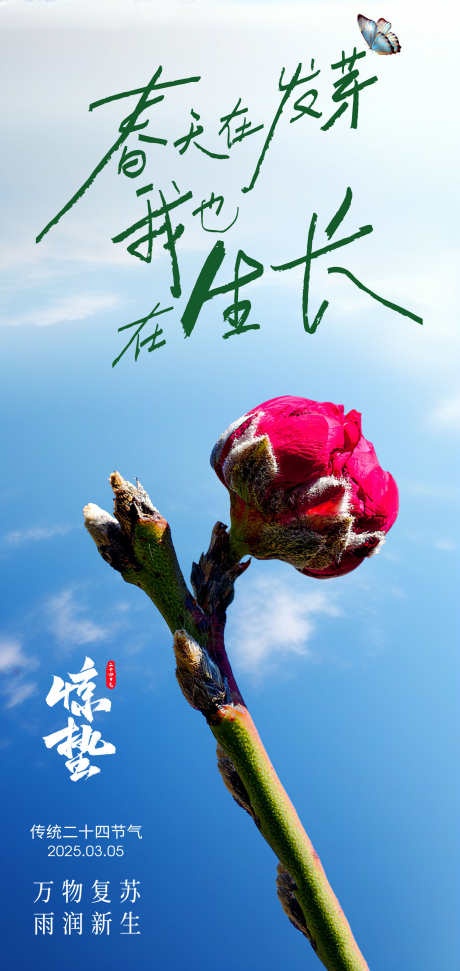 传统24节气惊蛰创意海报_源文件下载_PSD格式_2126X4488像素-春天,新生,新芽-作品编号:2025021711599617-志设-zs9.com
